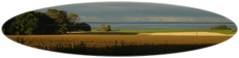 Ovalt panorama av åkern med träd och vatten i bakgrunden.